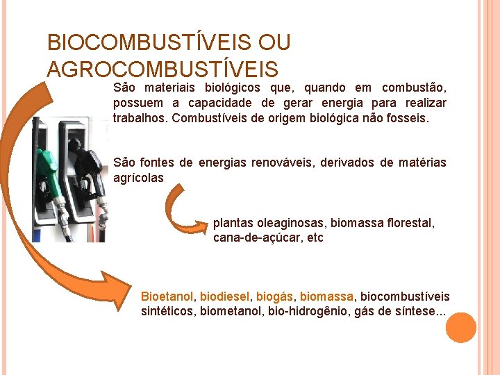 BIOCOMBUSTÍVEIS OU AGROCOMBUSTÍVEIS São materiais biológicos que, quando em combustão, possuem a capacidade de