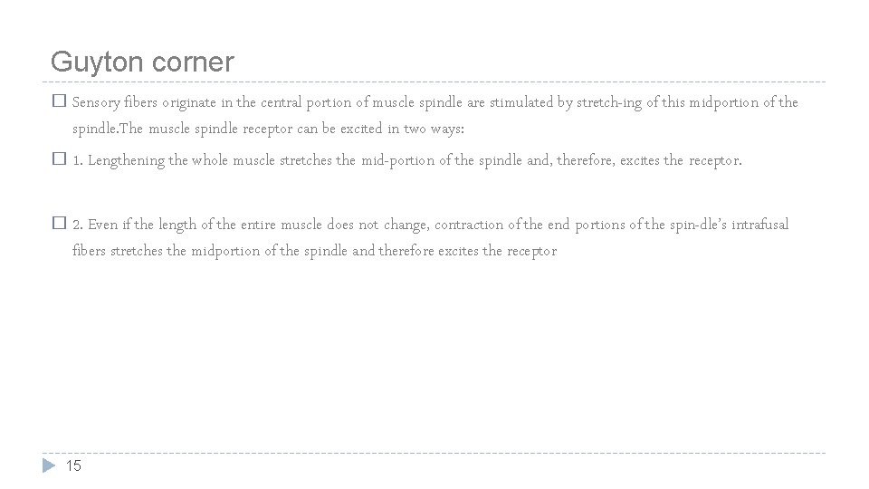 Guyton corner � Sensory fibers originate in the central portion of muscle spindle are