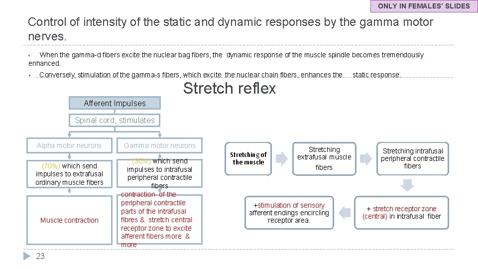 ONLY IN FEMALES’ SLIDES Control of intensity of the static and dynamic responses by