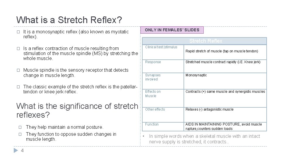 What is a Stretch Reflex? � � It is a monosynaptic reflex (also known