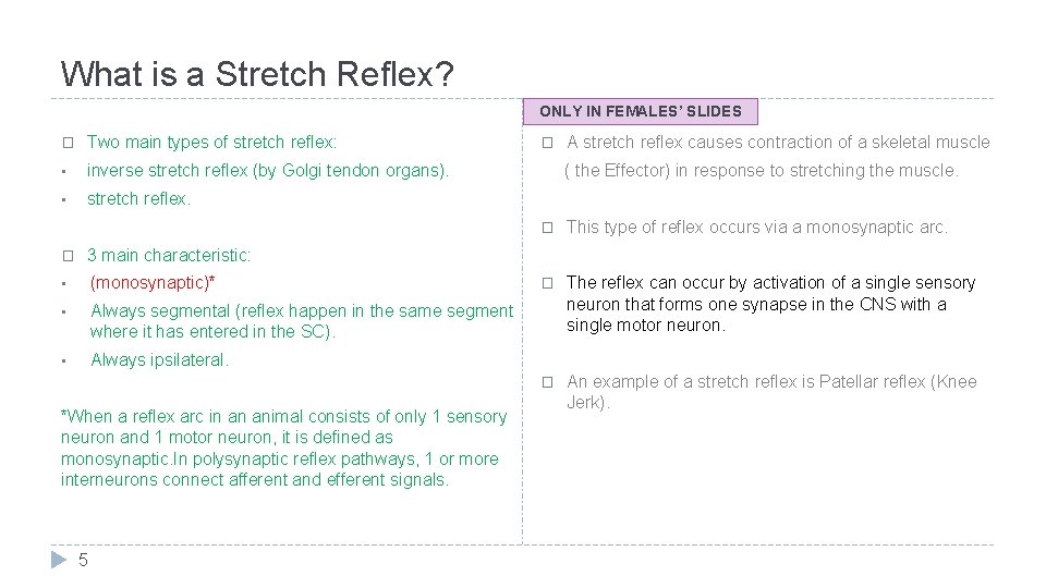 What is a Stretch Reflex? ONLY IN FEMALES’ SLIDES � Two main types of