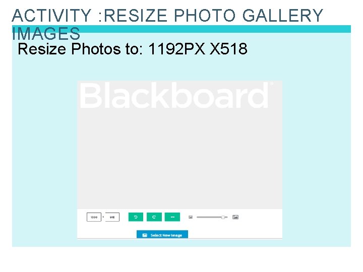 ACTIVITY : RESIZE PHOTO GALLERY IMAGES Resize Photos to: 1192 PX X 518 