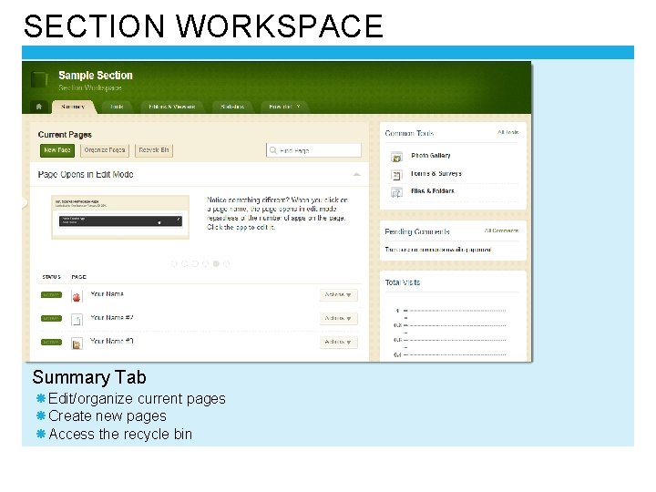 SECTION WORKSPACE Summary Tab Edit/organize current pages Create new pages Access the recycle bin