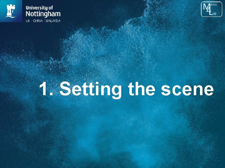 1. Setting the scene 
