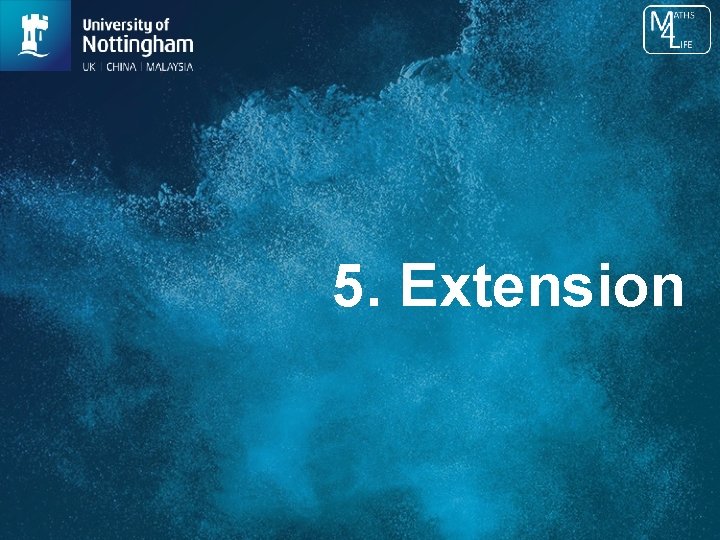 5. Extension 