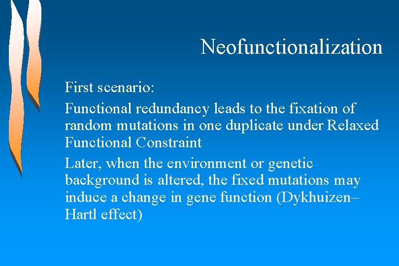 Neofunctionalization First scenario: Functional redundancy leads to the fixation of random mutations in one