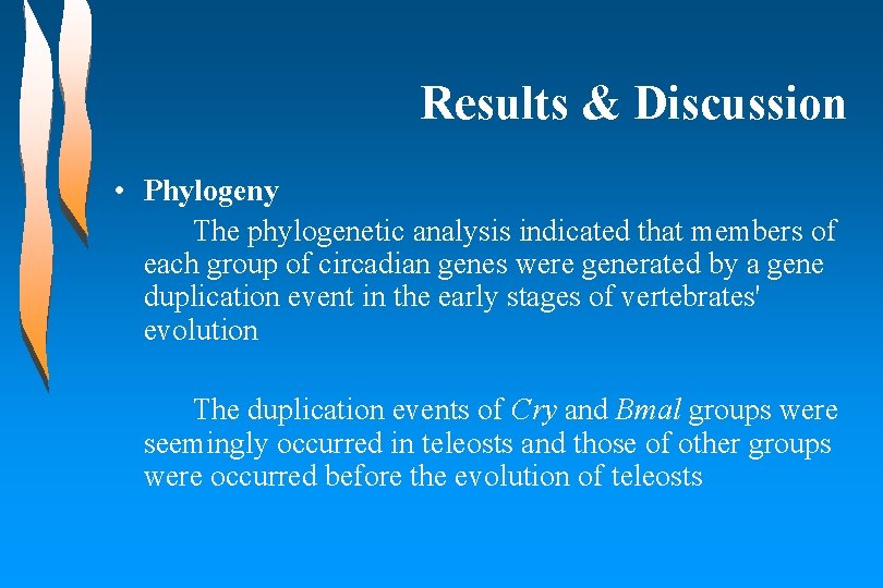 Results & Discussion • Phylogeny The phylogenetic analysis indicated that members of each group