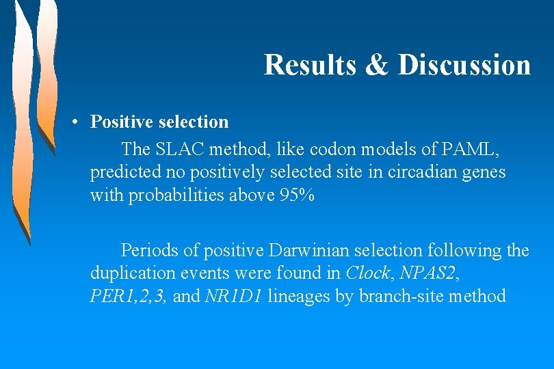 Results & Discussion • Positive selection The SLAC method, like codon models of PAML,