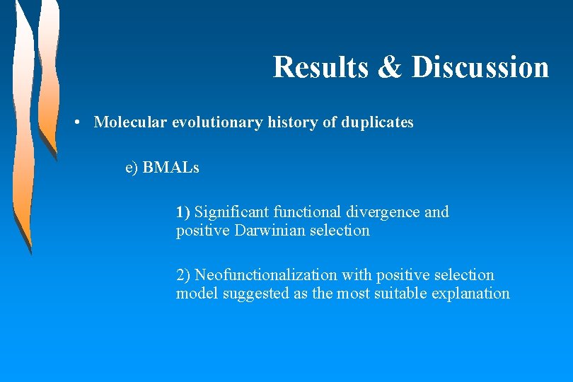 Results & Discussion • Molecular evolutionary history of duplicates e) BMALs 1) Significant functional