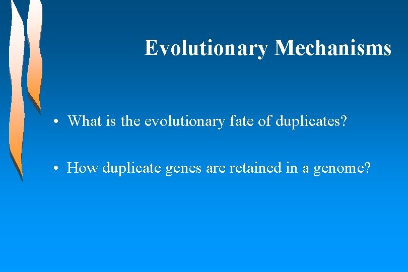 Evolutionary Mechanisms • What is the evolutionary fate of duplicates? • How duplicate genes