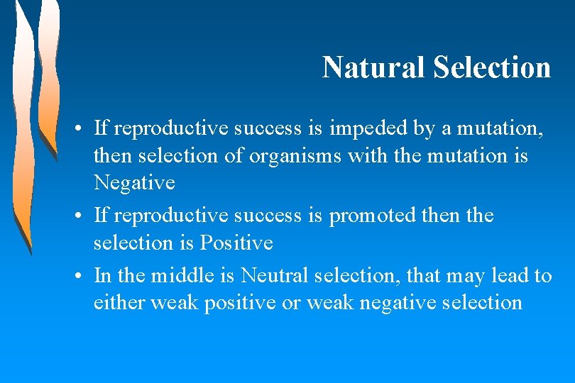 Natural Selection • If reproductive success is impeded by a mutation, then selection of