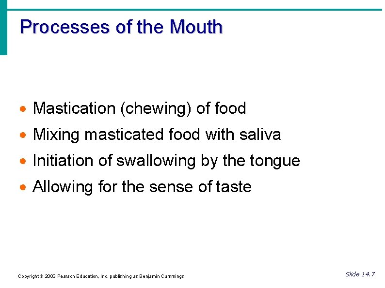 Processes of the Mouth Mastication (chewing) of food Mixing masticated food with saliva Initiation