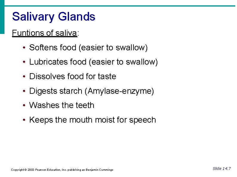 Salivary Glands Funtions of saliva: • Softens food (easier to swallow) • Lubricates food