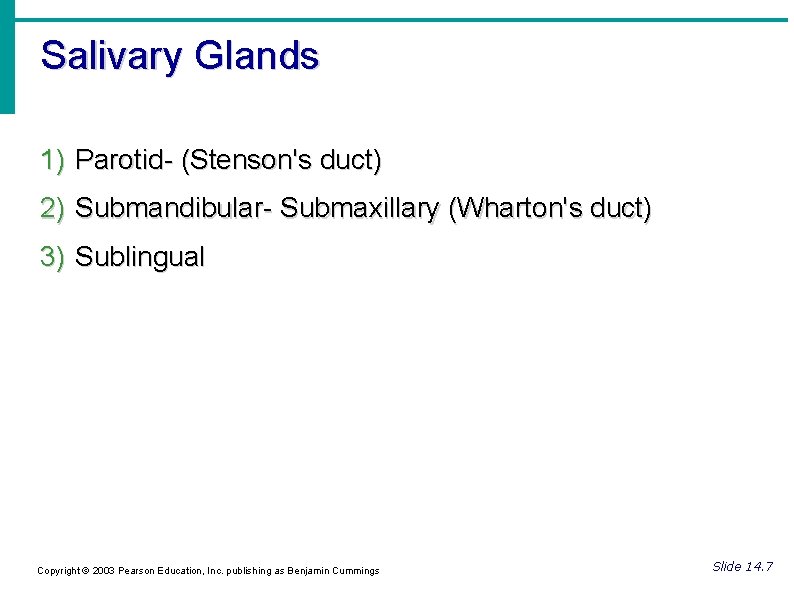 Salivary Glands 1) Parotid- (Stenson's duct) 2) Submandibular- Submaxillary (Wharton's duct) 3) Sublingual Copyright