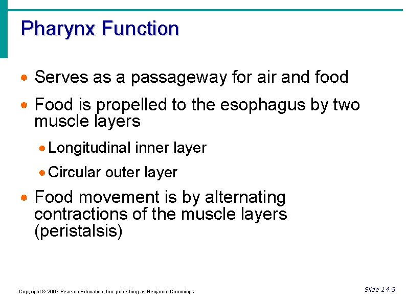 Pharynx Function Serves as a passageway for air and food Food is propelled to