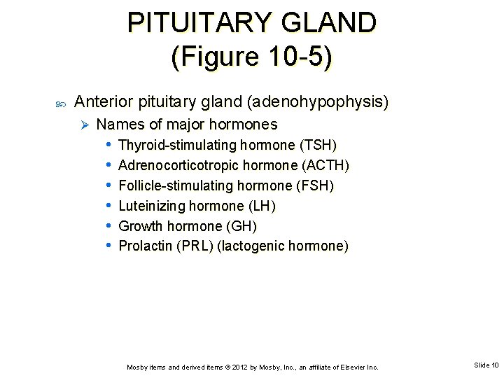 PITUITARY GLAND (Figure 10 -5) Anterior pituitary gland (adenohypophysis) Ø Names of major hormones