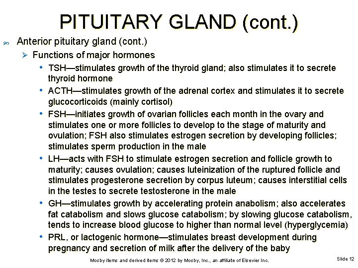 PITUITARY GLAND (cont. ) Anterior pituitary gland (cont. ) Ø Functions of major hormones
