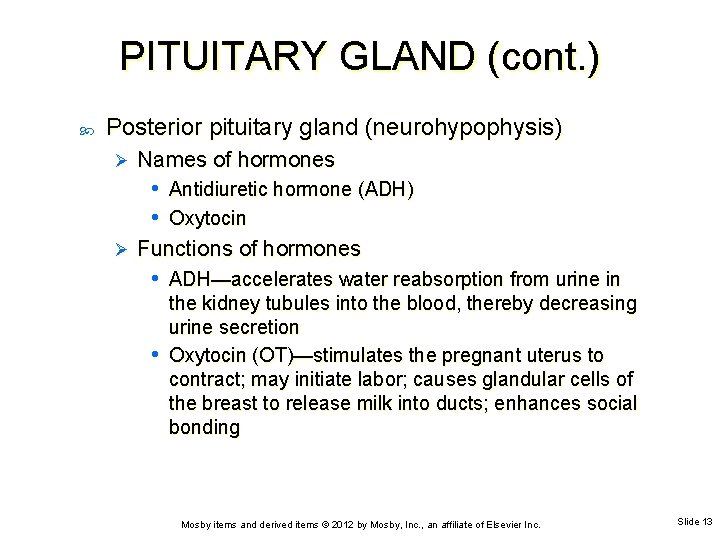 PITUITARY GLAND (cont. ) Posterior pituitary gland (neurohypophysis) Ø Names of hormones • Antidiuretic