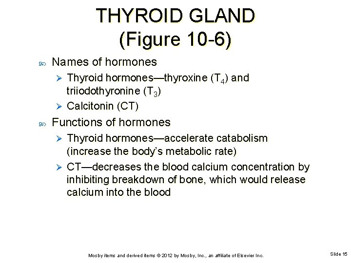 THYROID GLAND (Figure 10 -6) Names of hormones Thyroid hormones—thyroxine (T 4) and triiodothyronine