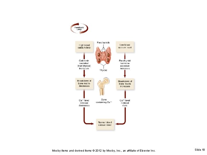 Mosby items and derived items © 2012 by Mosby, Inc. , an affiliate of