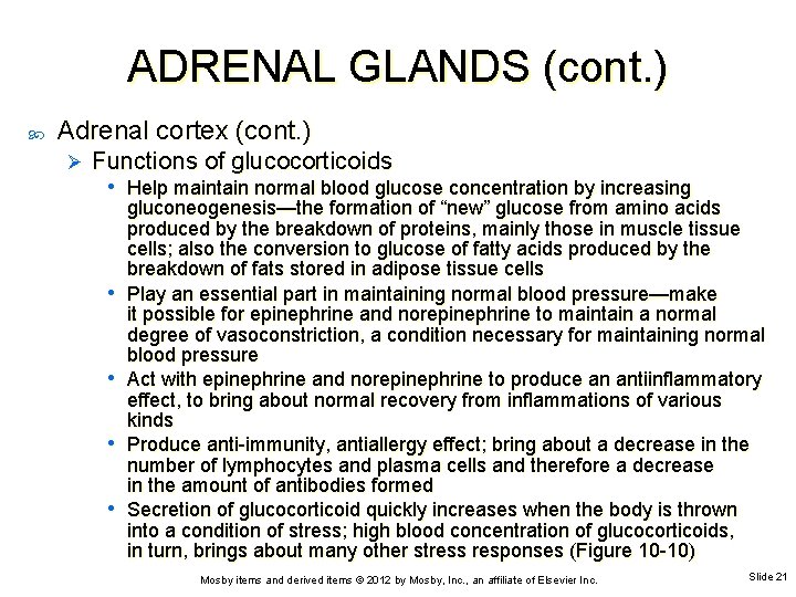 ADRENAL GLANDS (cont. ) Adrenal cortex (cont. ) Ø Functions of glucocorticoids • Help
