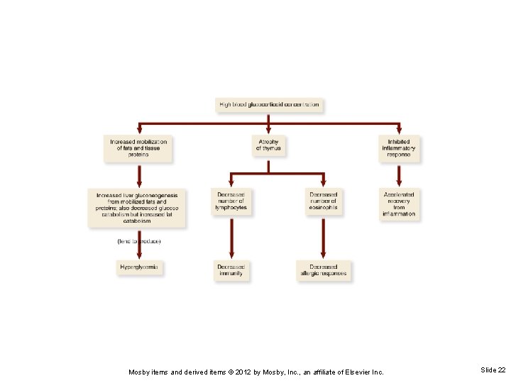 Mosby items and derived items © 2012 by Mosby, Inc. , an affiliate of