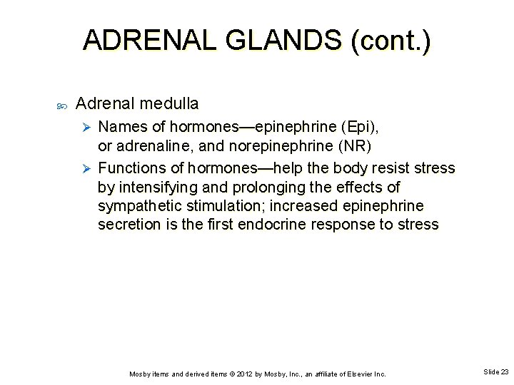 ADRENAL GLANDS (cont. ) Adrenal medulla Names of hormones—epinephrine (Epi), or adrenaline, and norepinephrine