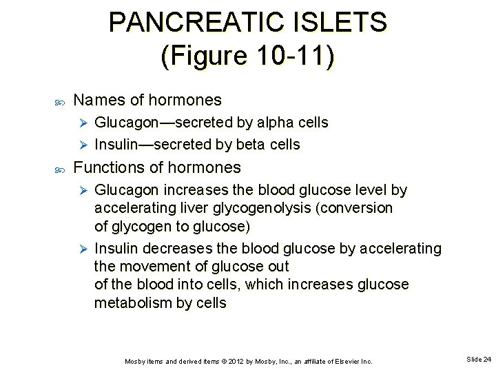 PANCREATIC ISLETS (Figure 10 -11) Names of hormones Glucagon—secreted by alpha cells Ø Insulin—secreted
