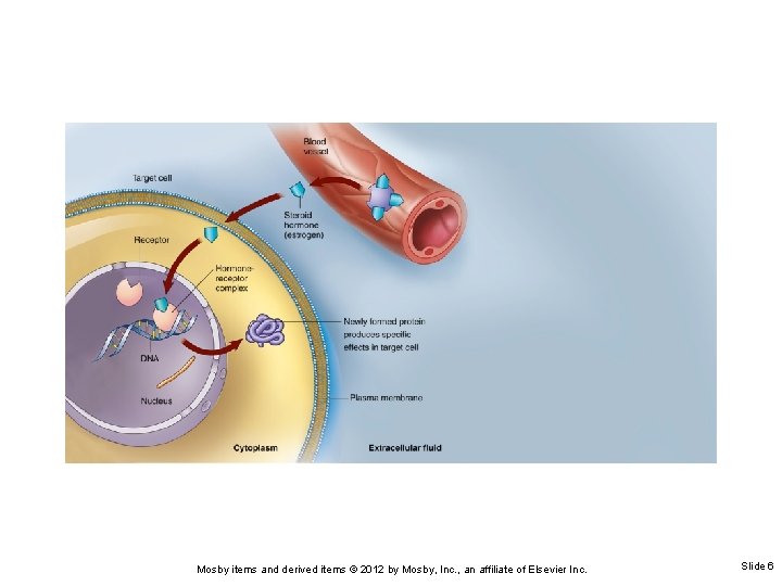 Mosby items and derived items © 2012 by Mosby, Inc. , an affiliate of