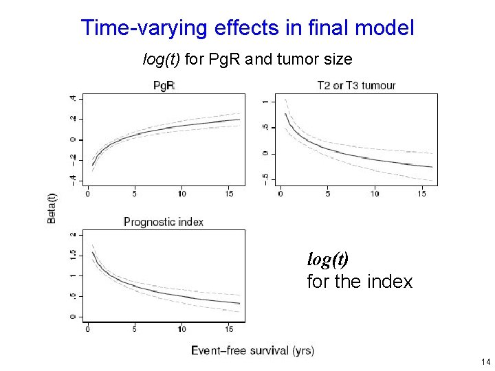 Time-varying effects in final model log(t) for Pg. R and tumor size log(t) for