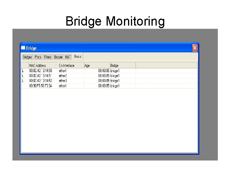 Bridge Monitoring 