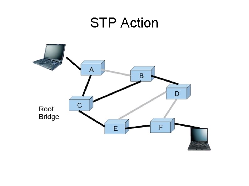 STP Action 