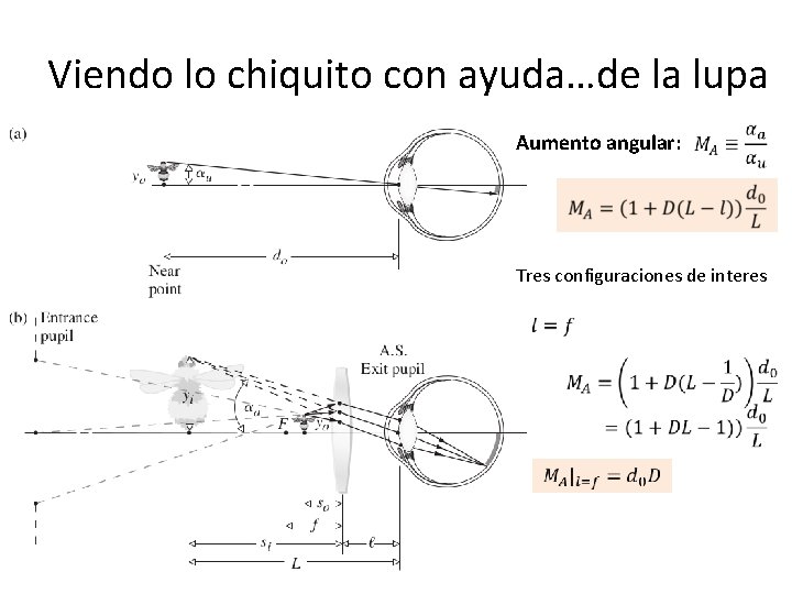 Viendo lo chiquito con ayuda…de la lupa Aumento angular: Tres configuraciones de interes 