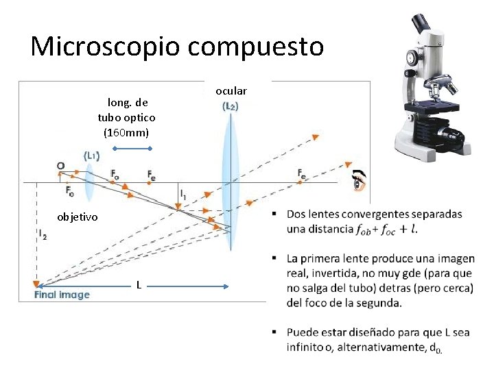 Microscopio compuesto long. de tubo optico (160 mm) objetivo L ocular 