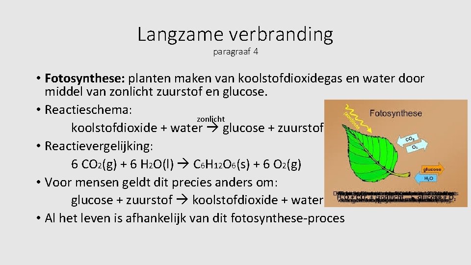 Langzame verbranding paragraaf 4 • Fotosynthese: planten maken van koolstofdioxidegas en water door middel