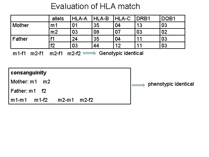 Evaluation of HLA match allels m 1 m 2 f 1 f 2 Mother