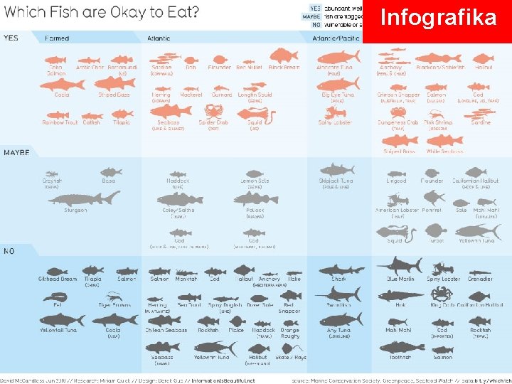 Infografika 