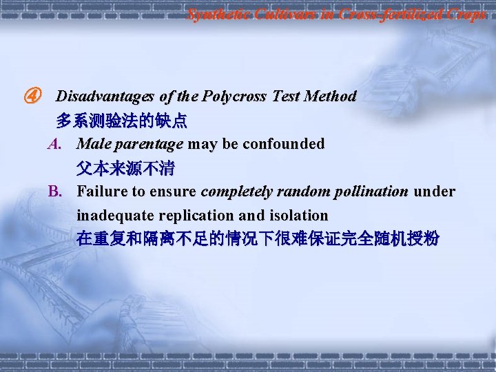 Synthetic Cultivars in Cross-fertilized Crops ④ Disadvantages of the Polycross Test Method 多系测验法的缺点 A.