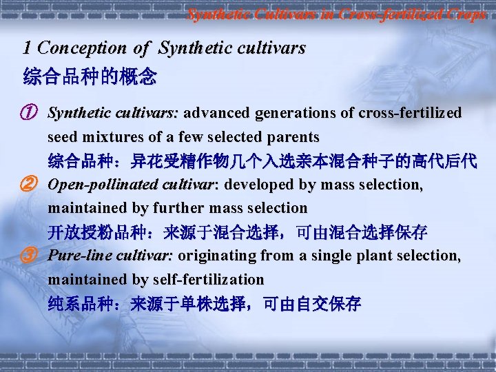 Synthetic Cultivars in Cross-fertilized Crops 1 Conception of Synthetic cultivars 综合品种的概念 ① Synthetic cultivars: