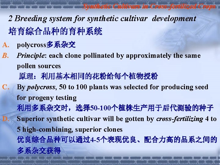 Synthetic Cultivars in Cross-fertilized Crops 2 Breeding system for synthetic cultivar development 培育综合品种的育种系统 A.