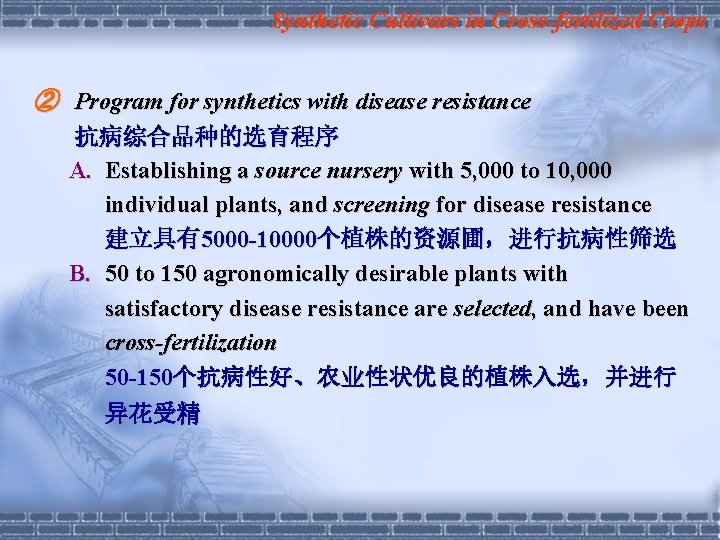 Synthetic Cultivars in Cross-fertilized Crops ② Program for synthetics with disease resistance 抗病综合品种的选育程序 A.
