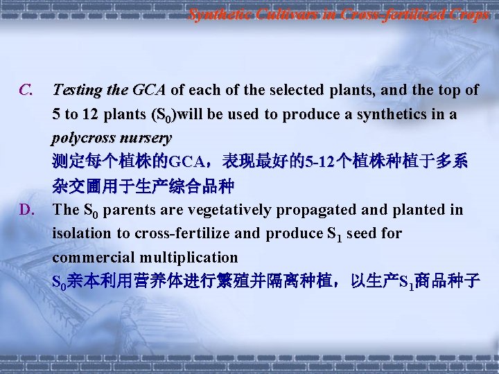Synthetic Cultivars in Cross-fertilized Crops C. D. Testing the GCA of each of the