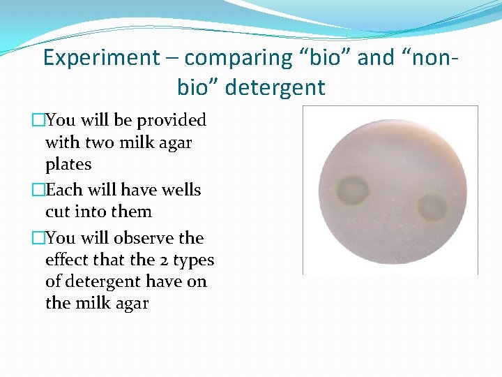Experiment – comparing “bio” and “nonbio” detergent �You will be provided with two milk