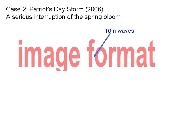 Case 2: Patriot’s Day Storm (2006) A serious interruption of the spring bloom 10