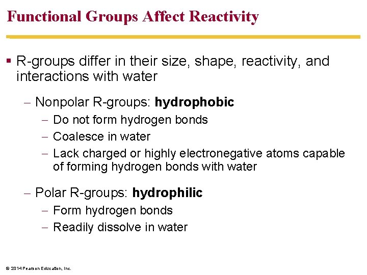 Functional Groups Affect Reactivity R-groups differ in their size, shape, reactivity, and interactions with