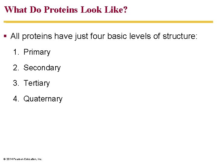 What Do Proteins Look Like? All proteins have just four basic levels of structure: