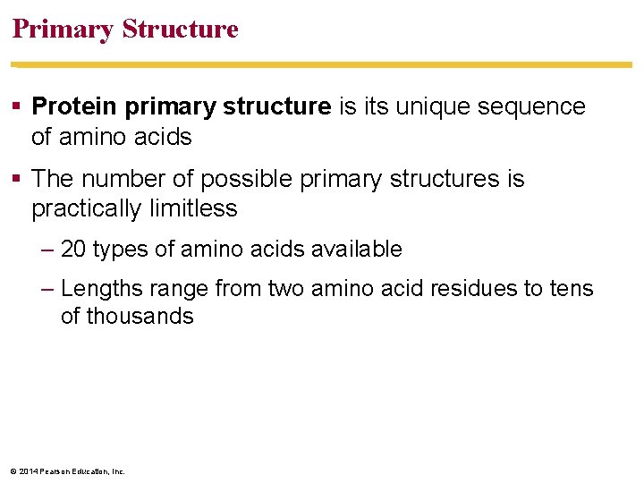Primary Structure Protein primary structure is its unique sequence of amino acids The number
