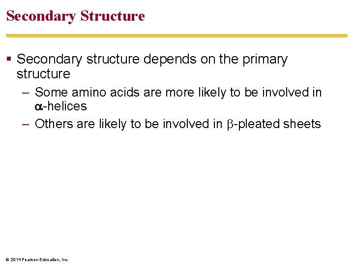Secondary Structure Secondary structure depends on the primary structure – Some amino acids are