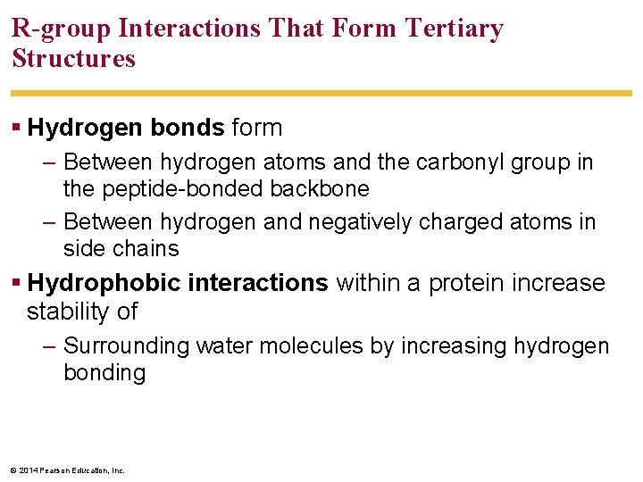 R-group Interactions That Form Tertiary Structures Hydrogen bonds form – Between hydrogen atoms and