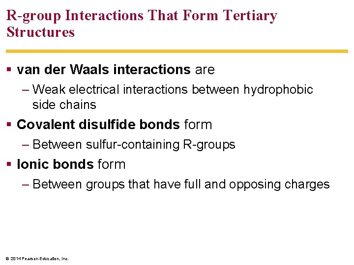 R-group Interactions That Form Tertiary Structures van der Waals interactions are – Weak electrical